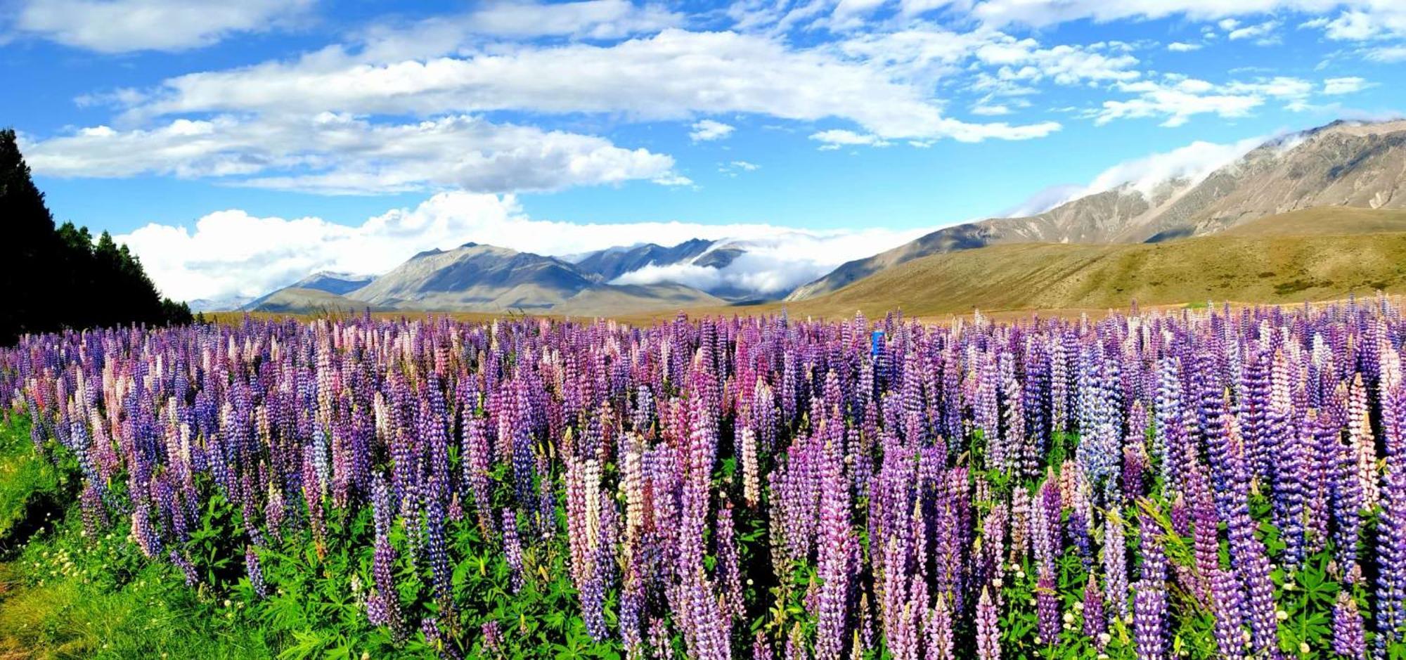 37 Galaxy C Studio Lake Tekapo Exterior photo